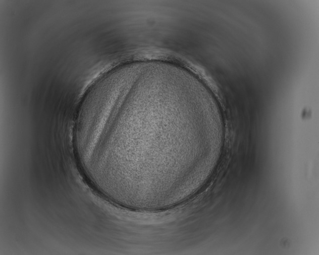 X0000090470010200708031316