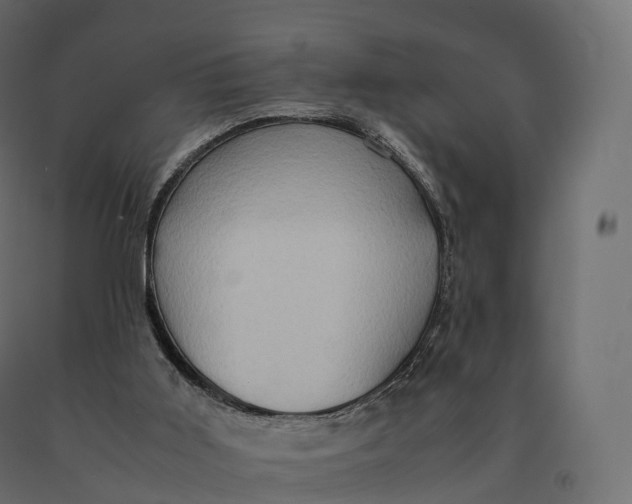 X0000090470011200708031316