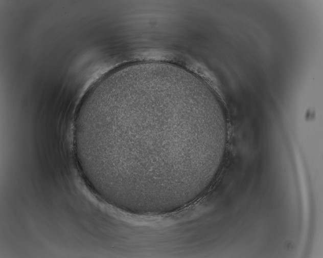 X0000090470012200708031316