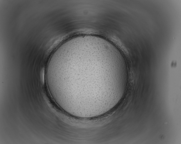 X0000090470014200708031316