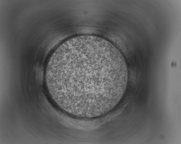 X0000090470016200708031315