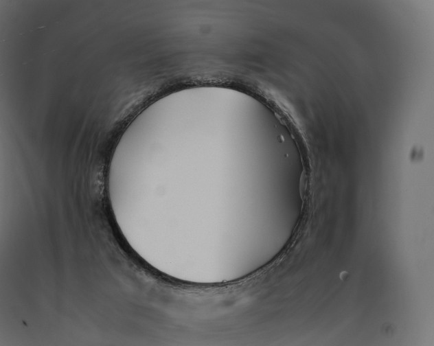 X0000090470017200708031315