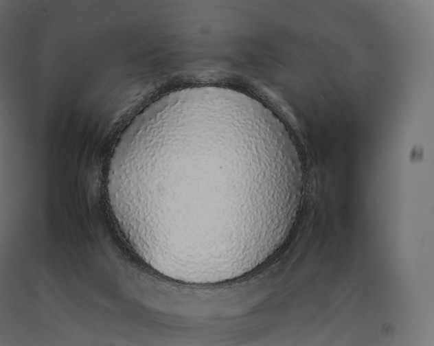 X0000090470018200708031315