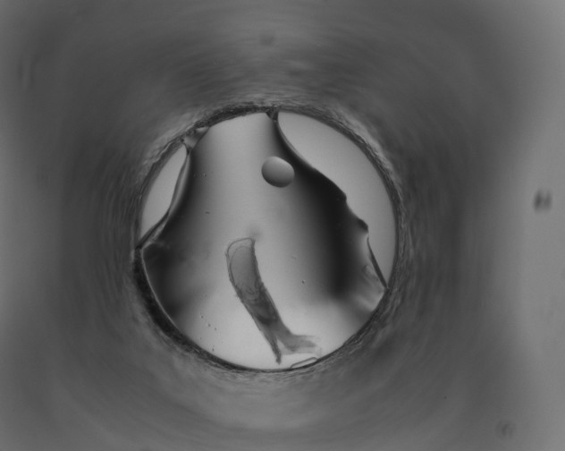 X0000090470019200708031315