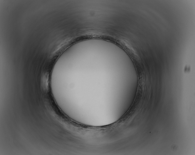 X0000090470024200708031315