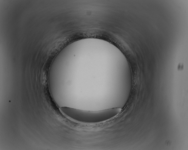 X0000090470025200708031315