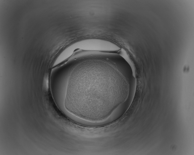 X0000090470027200708031315