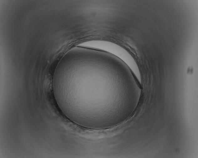 X0000090470029200708031315