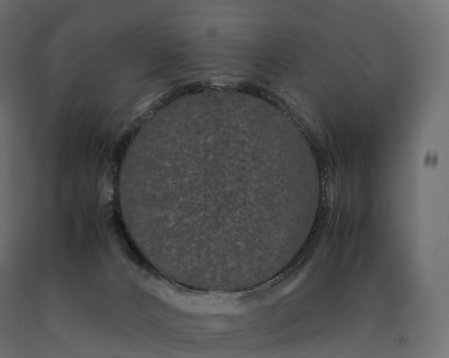 X0000090470032200708031315