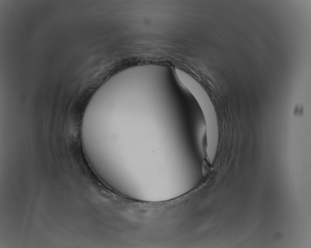 X0000090470033200708031315