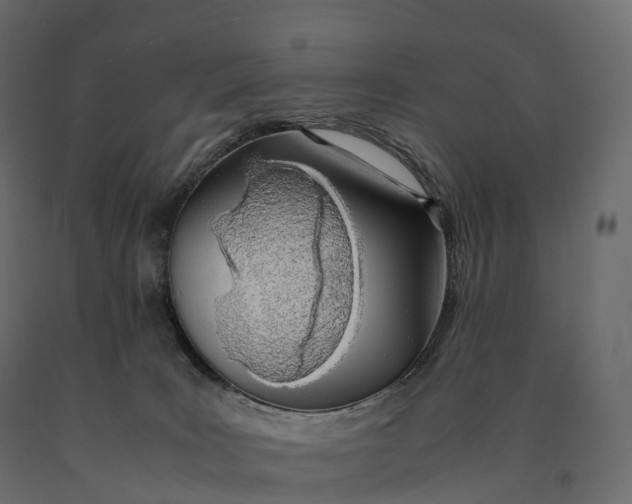 X0000090470035200708031315