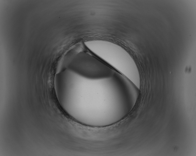 X0000090470039200708031315