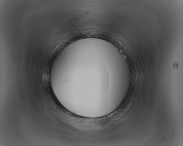 X0000090470040200708031315