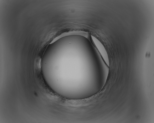 X0000090470041200708031315