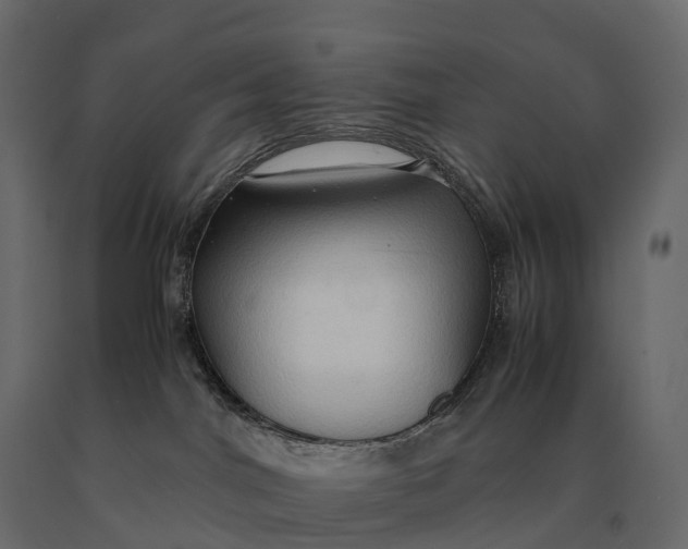 X0000090470044200708031315