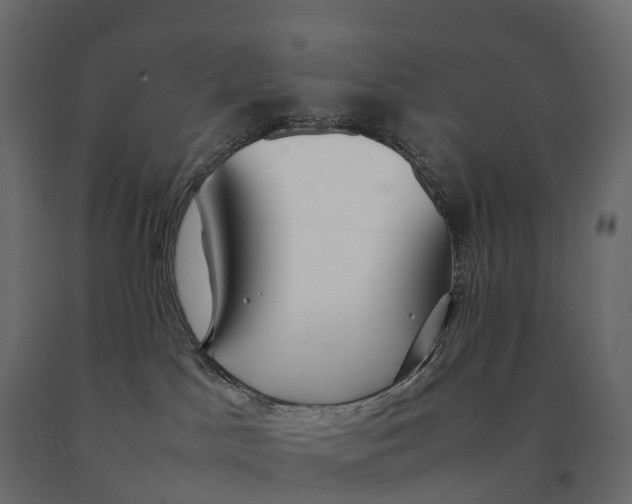 X0000090470045200708031315