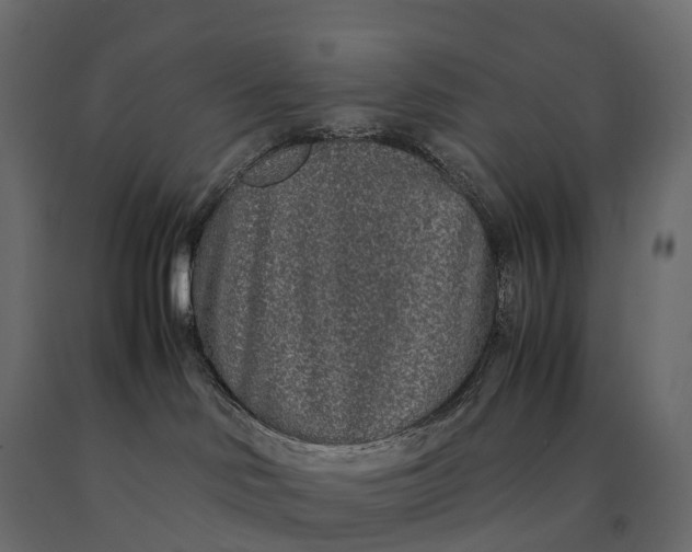 X0000090470046200708031315