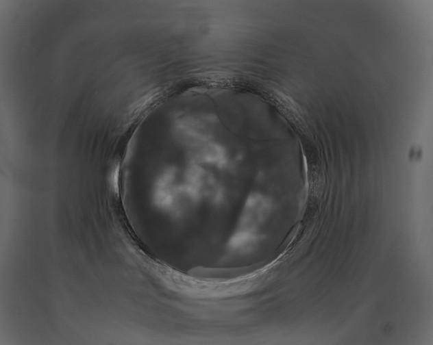 X0000090470047200708031315