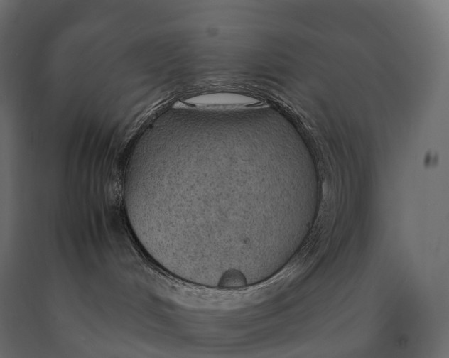 X0000090470048200708031315