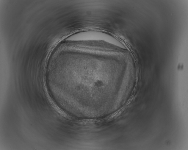 X0000090470049200708031314