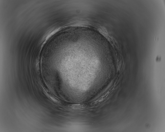 X0000090470050200708031314