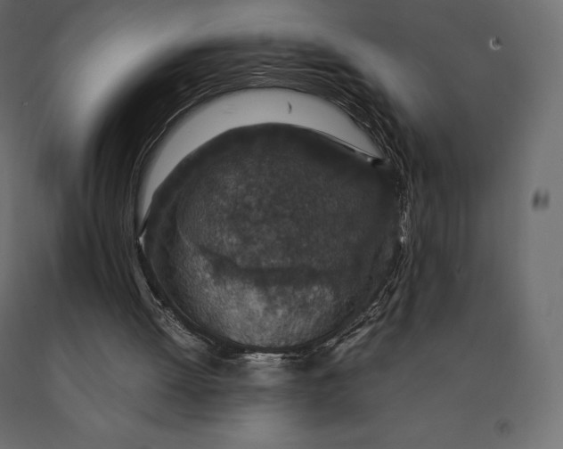 X0000090470052200708031314