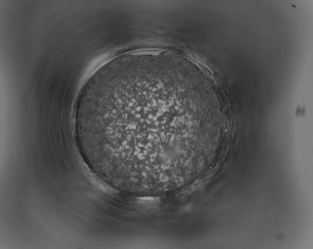 X0000090470053200708031314