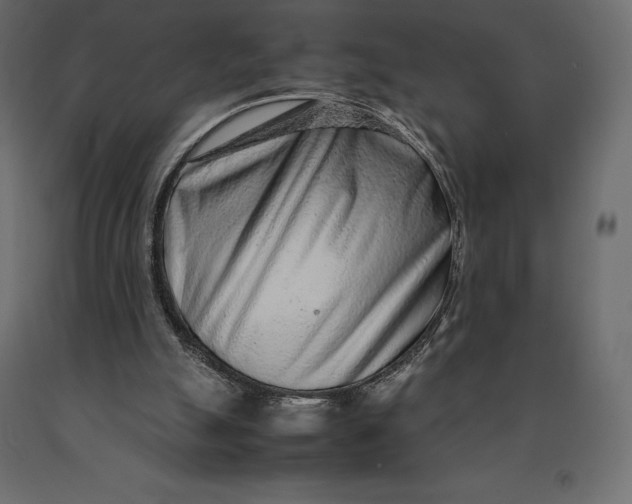 X0000090470055200708031314