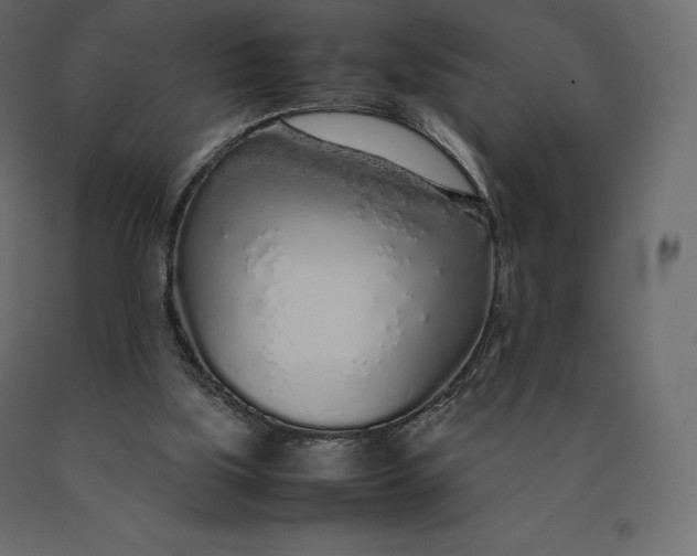 X0000090470059200708031314