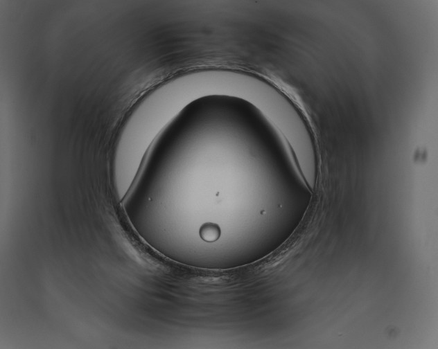 X0000090470061200708031314