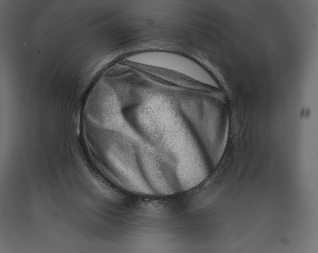 X0000090470062200708031314