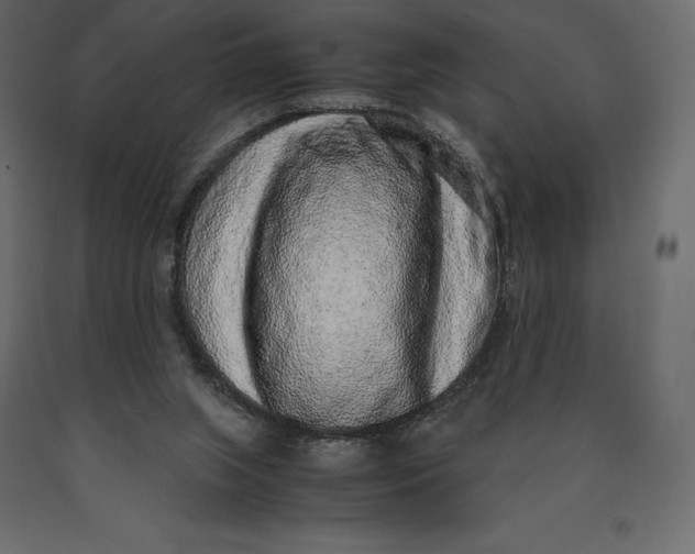 X0000090470063200708031314