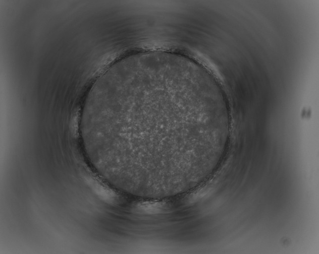 X0000090470065200708031314