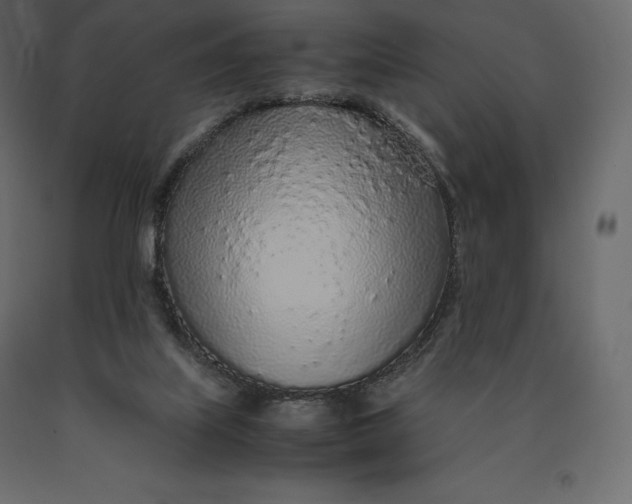 X0000090470067200708031314