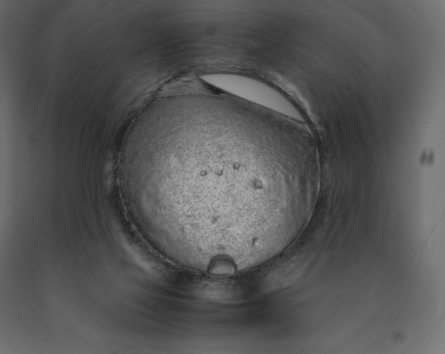 X0000090470069200708031314