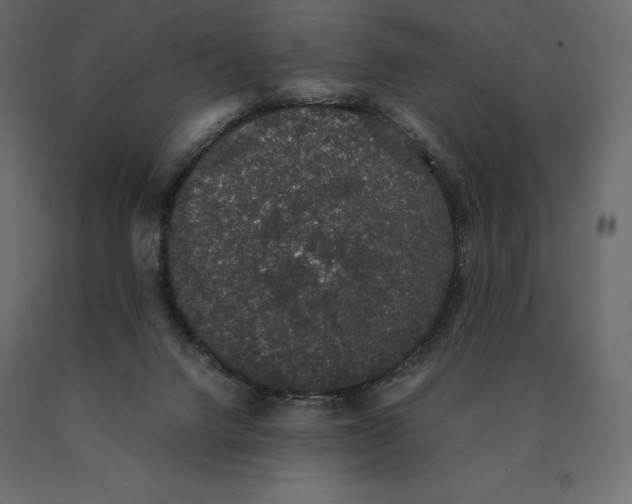 X0000090470072200708031315