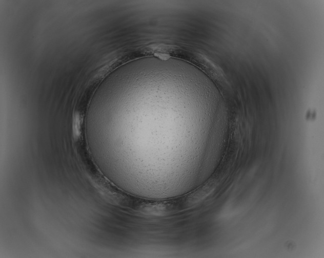 X0000090470075200708031315