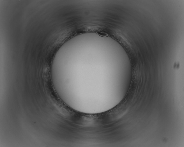 X0000090470079200708031315