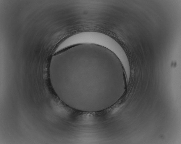 X0000090470080200708031315