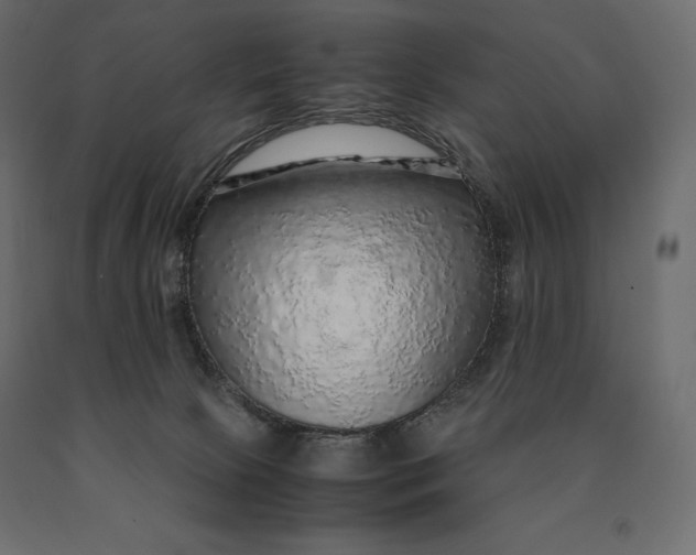 X0000090470081200708031315