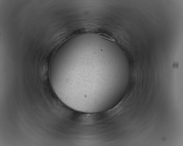 X0000090470082200708031315