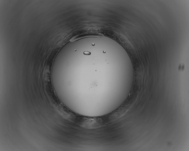 X0000090470083200708031315