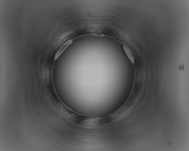 X0000090470084200708031315