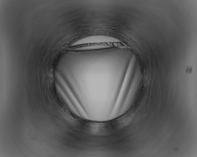 X0000090470085200708031315