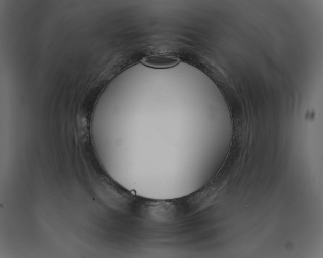 X0000090470087200708031315