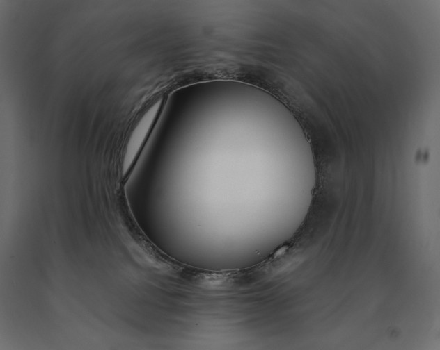 X0000090470088200708031315