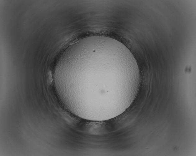 X0000090470089200708031315