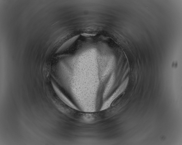 X0000090470091200708031315