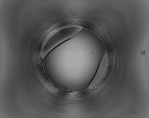 X0000090470092200708031315