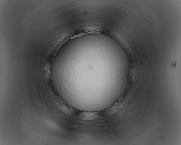 X0000090470093200708031315